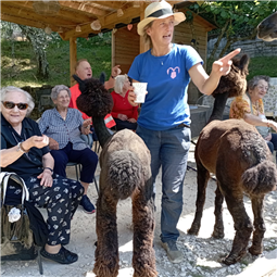 I benefici dell'interazione uomo-animale