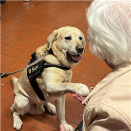   “Insieme per il benessere”: Pet-therapy e uno studio pilota 