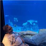 Una giornata all'Acquario di Livorno