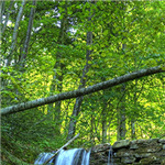 Vacanze in montagna per la Fondazione San Sebastiano