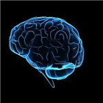 Diagnosi e cura dell’Ansia e dei Disturbi Psicosomatici