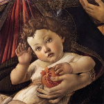 Premio Poesia Sacravita