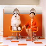 Pet therapy a Careggi