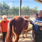 l martedì pomeriggio  al  Centro Equestre di Malmantile