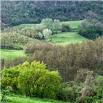 Gite d’agosto per la Fondazione San Sebastiano