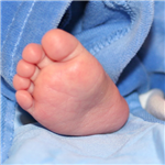 Orari estivi Servizio medico Pediatrico