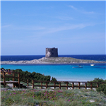 Servizio estivo in Sardegna